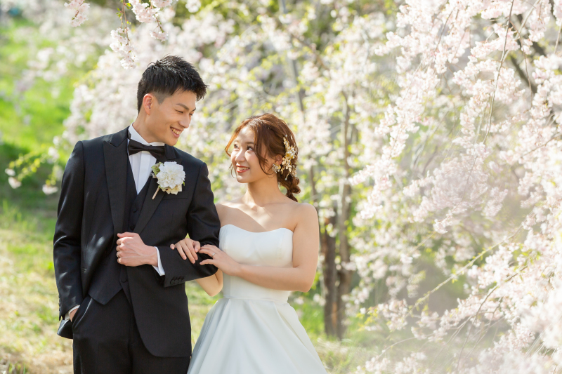 桜が見頃の飯綱山公園に行ってきました！