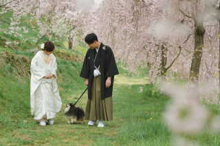 ペットと一緒に