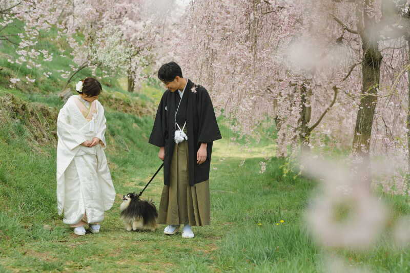 ペットと一緒に