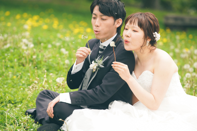 たんぽぽの綿毛