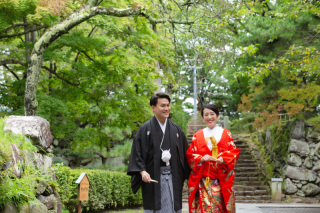 最後の新緑撮影！