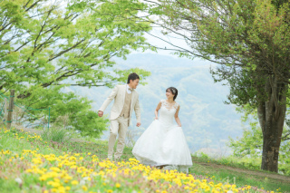 春の草原と和装　photo by谷澤明美