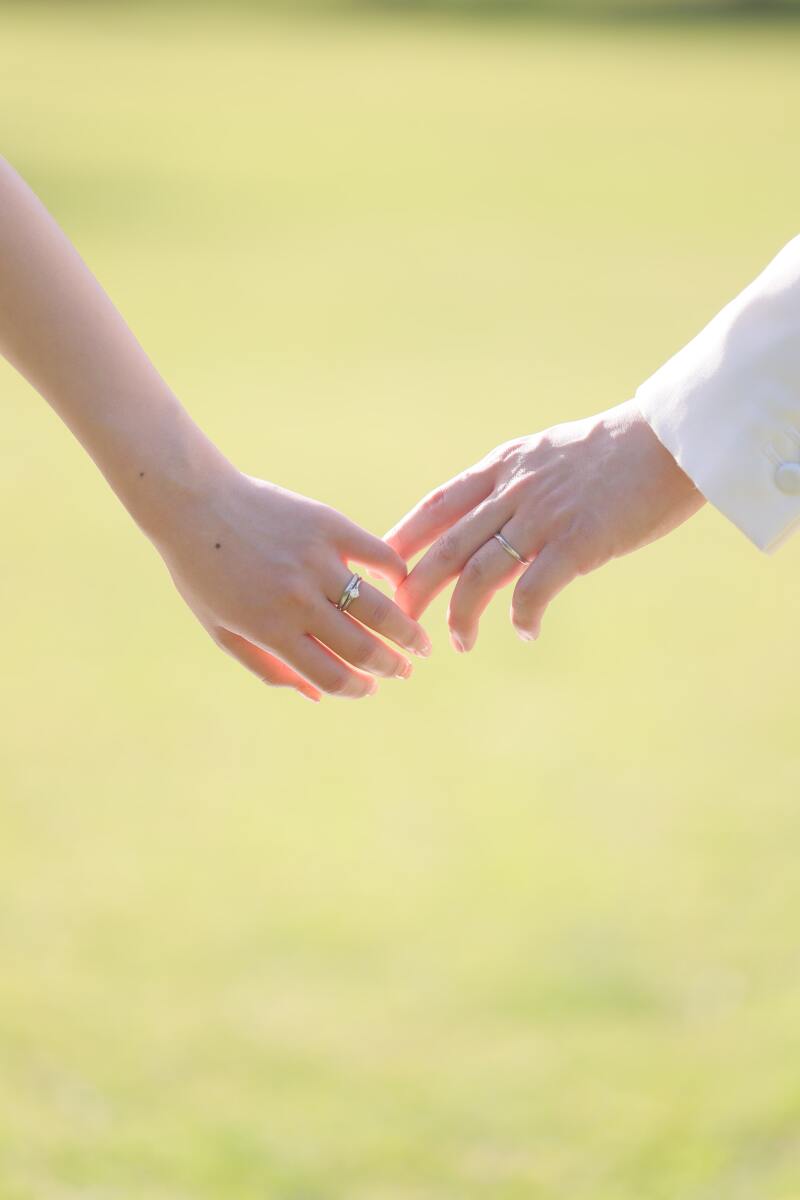 イメージカット