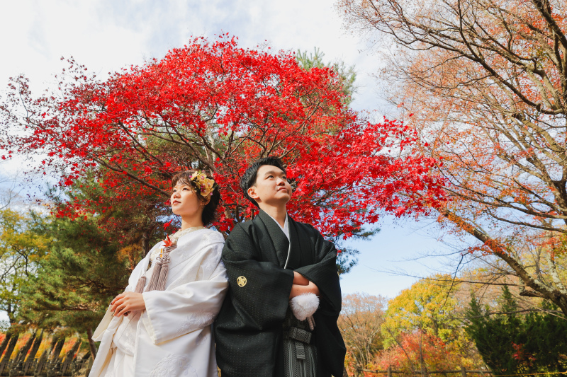 真っ赤に燃える紅葉