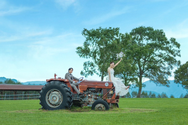 トラクター発見！