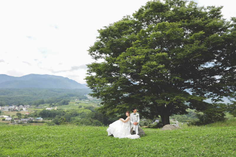 緑のシーズン。