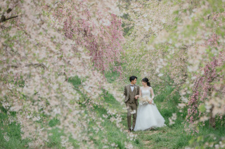 桜の穴場スポットご紹介！ photo by Kaito Saito