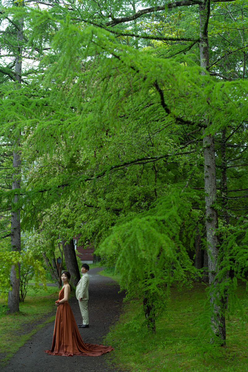 雨で濡れた木々たちが