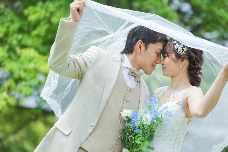 ベールでかくれんぼ