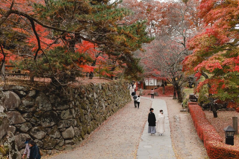 秋の小諸懐古園