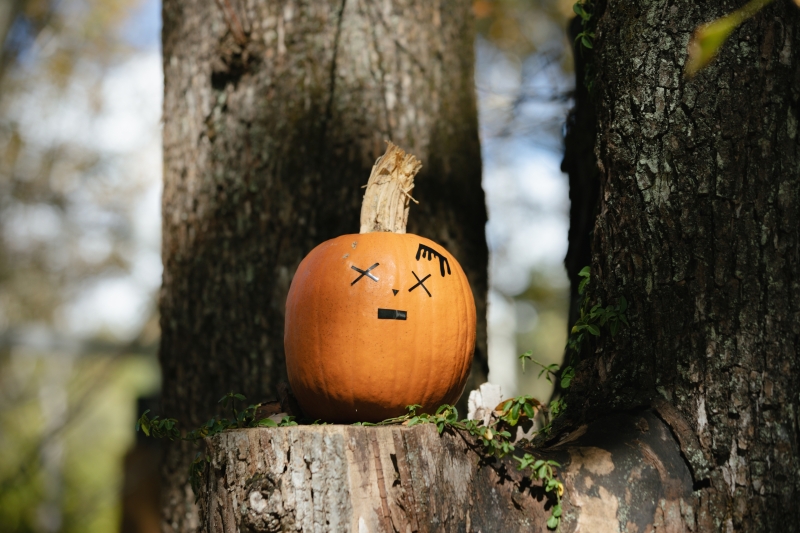 秋を伝える小物たち