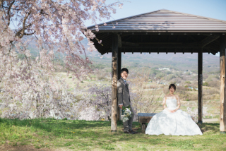 軽井沢で桜撮影