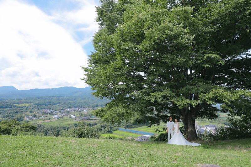 大きな木の下にて◎