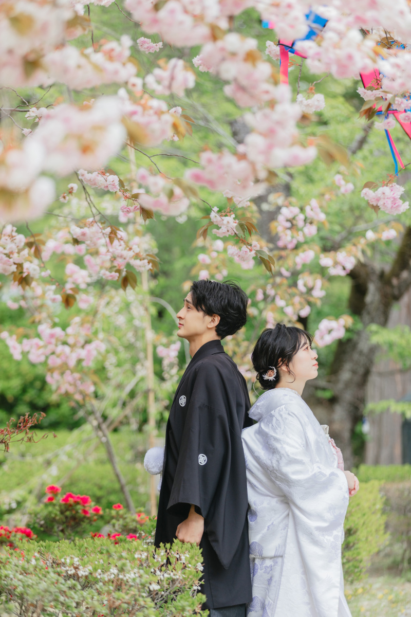 薄曇りのお天気