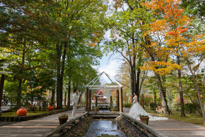 大きな木に囲まれた玄関