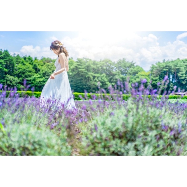 軽井沢のラベンダー①