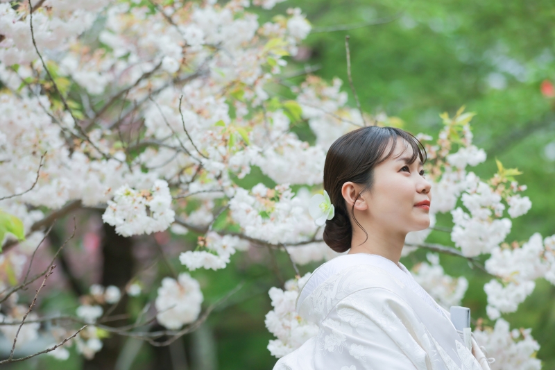 しっとり曇り空も和装にぴったり