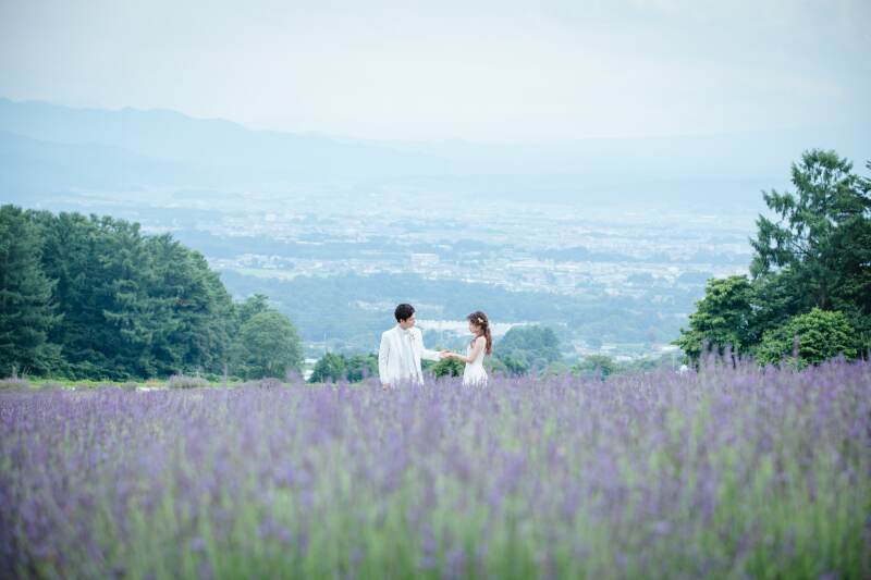 軽井沢のラベンダー畑