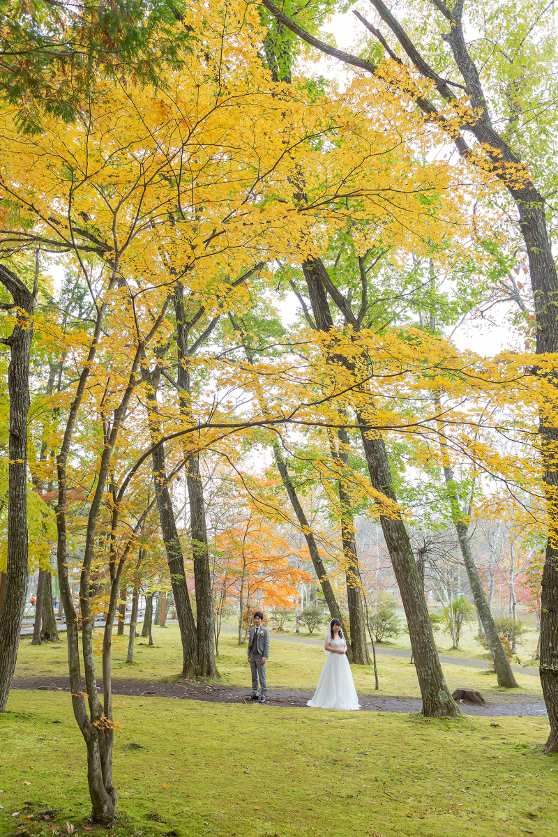 森に溶け込んで
