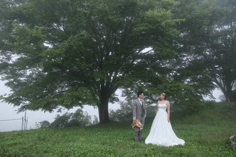 霧の中での撮影