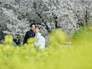 STUDIO AQUA 軽井沢店（スタジオAQUA）_春桜に映える和装撮影