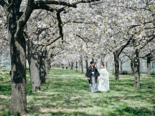 STUDIO AQUA 軽井沢店（スタジオAQUA）_春桜に映える和装撮影