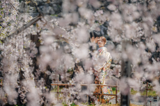 STUDIO AQUA 軽井沢店（スタジオAQUA）_春桜に映える和装撮影