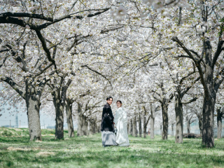 STUDIO AQUA 軽井沢店（スタジオAQUA）_春桜に映える和装撮影