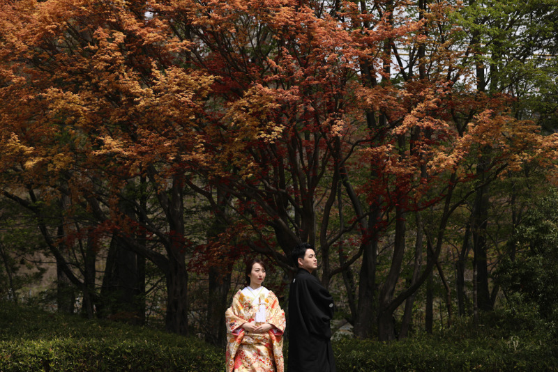 春なのに紅葉？！