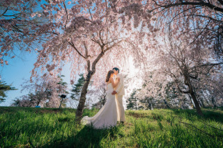 STUDIO AQUA 軽井沢店（スタジオAQUA）_桜彩る春のロケーション