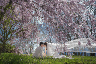 STUDIO AQUA 軽井沢店（スタジオAQUA）_桜彩る春のロケーション