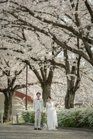 STUDIO AQUA 軽井沢店（スタジオAQUA）_桜彩る春のロケーション
