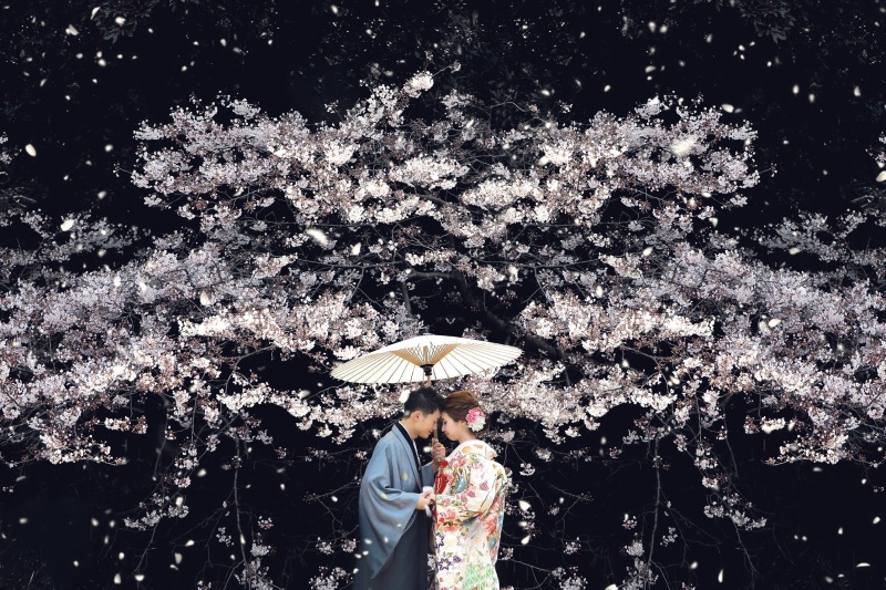 桜が舞い散る日の撮影です。いい曇り具合で背景もおちており、素敵な1枚になりました。海外のコンテストで銀賞をいただきました。