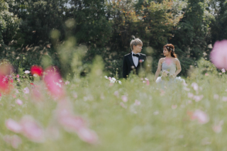 【式場&ロケ】秋の季節らしい♪コスモスロケ