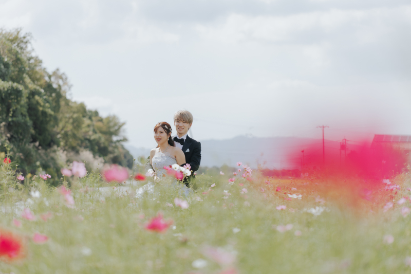 続いてコスモス畑へ