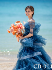 CD-014 （COCOMELODY新作ドレス）