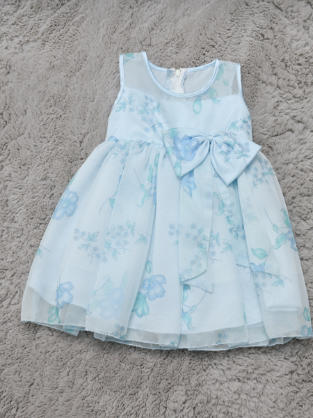 KD-009