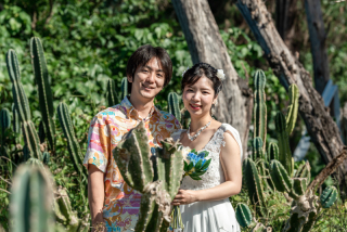 ✨150カットデータ込み✨◎ドローン動画・三面台紙