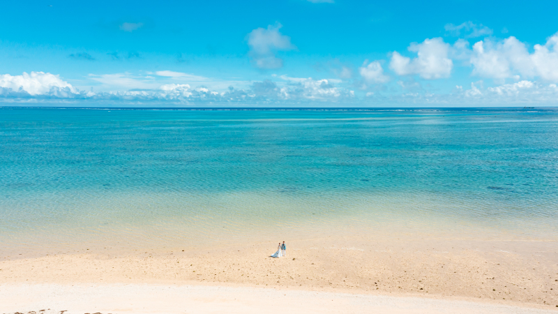 海の全景