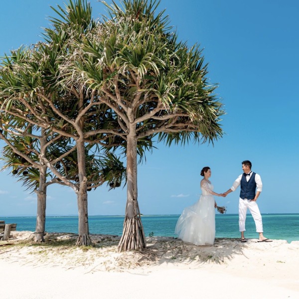 王子様とお姫様