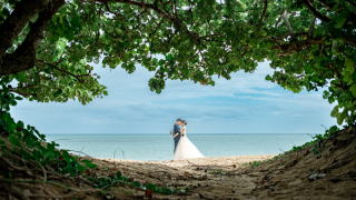 ★ビーチとグリーンガーデンで沖縄大満喫プラン★