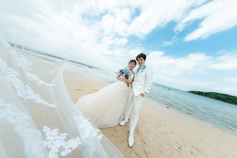 風に舞うベール