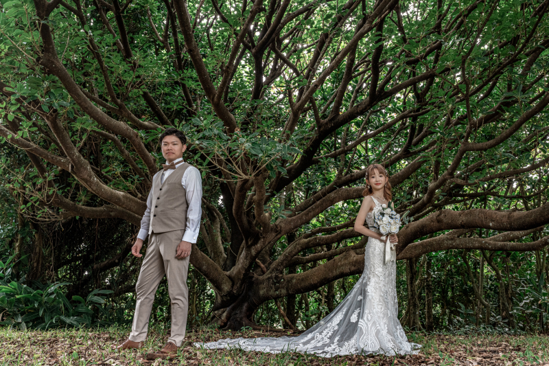 ガジュマルの木♡