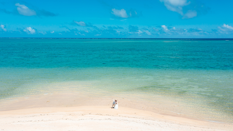 海の全景