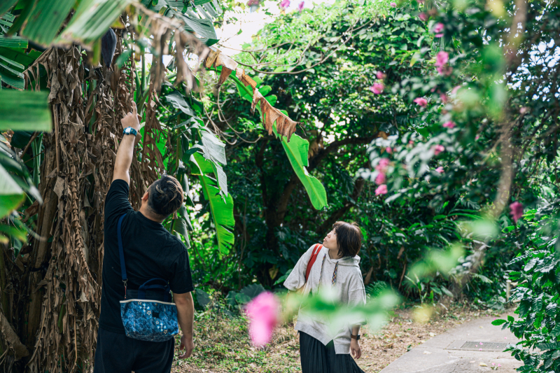 沖縄らしい自然の中で♡