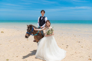 ✨プレミアムプラン✨乗馬ウエディングフォト♬200カット◎４Kドローン