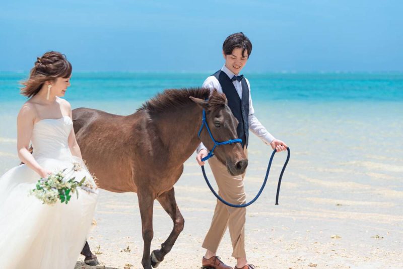 お馬さんと海散歩♪
