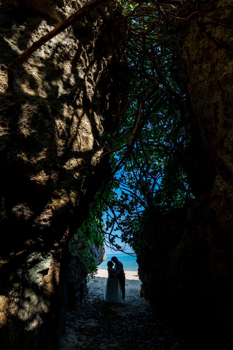 木漏れ日の下で