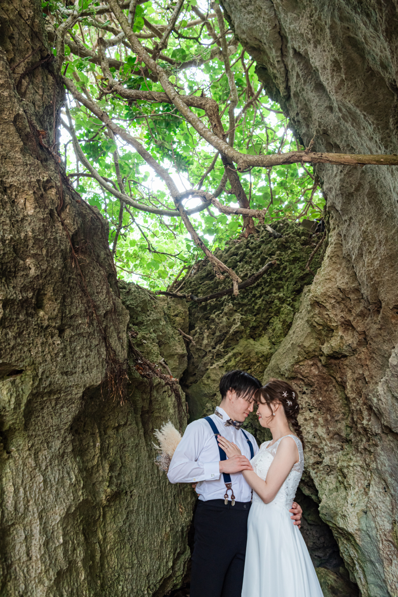 岩場や緑を背景に