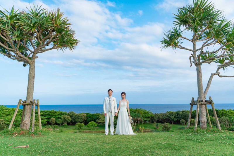 海と南国植物